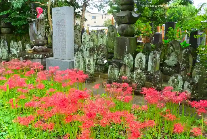宝蔵院(東京都)