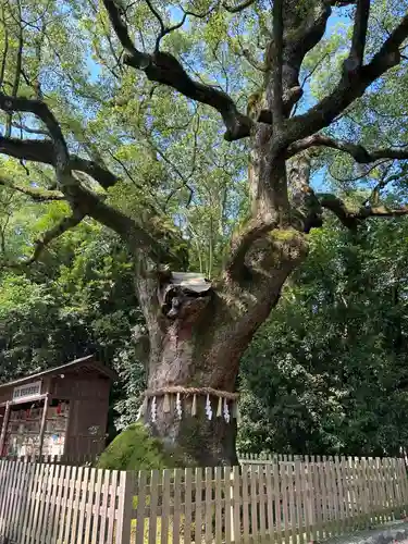 熱田神宮(愛知県)