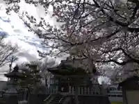 白山神社(福井県)