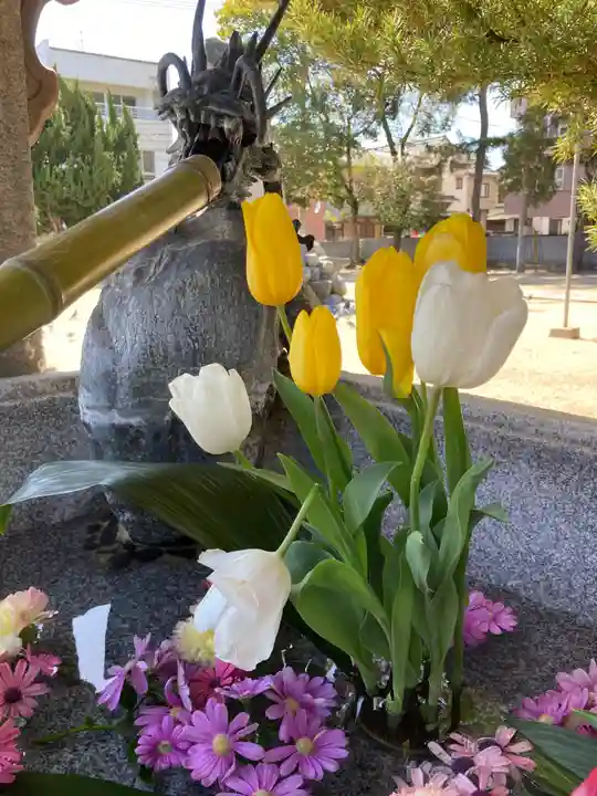 三津厳島神社の手水舎