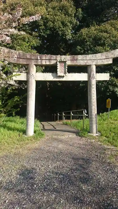 多鯰ヶ池弁天宮(鳥取県)