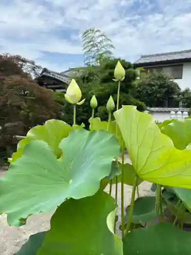 本瑞寺(神奈川県)