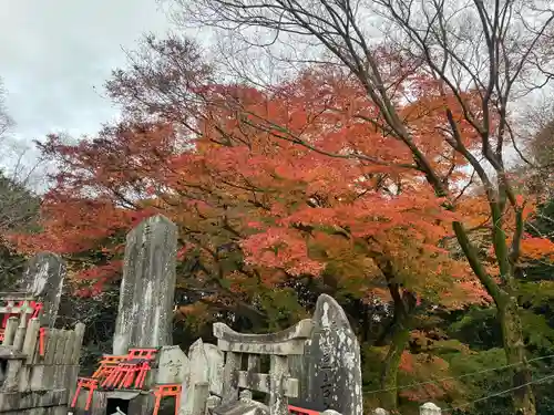 伏見稲荷大社(京都府)