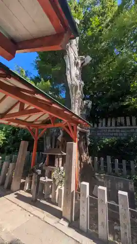 難波大社　生國魂神社(大阪府)