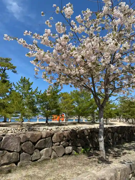 厳島神社の{uncategorized: "未分類", other: "その他", undefined: "問題あり", building: "その他建物", grave: "お墓", sacred_gate: "鳥居", guardian: "狛犬", statue: "像", buddha: "仏像", history: "歴史", nature: "自然", garden: "庭園", animal: "動物", pagoda: "塔", temizu: "手水舎", mountain_gate: "山門・神門", sanctuary: "本殿・本堂", subordinate: "末社・摂社", art: "芸術", scenery: "景色", jizo: "地蔵", ema: "絵馬", goshuin: "御朱印", omikuji: "おみくじ", items: "授与品その他", amulet: "お守り", goshuincho: "御朱印帳", eats: "食事", festival: "お祭り", votive_dance: "神楽", shichigosan: "七五三参", wedding: "結婚式", experience: "体験その他", initially: "初詣", around: "周辺", anti_infection: "感染症対策"}