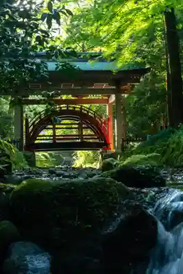 彌彦神社のその他建物