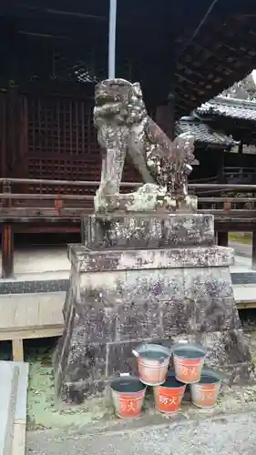 向日神社の狛犬