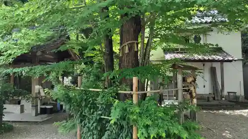 梨木神社(京都府)