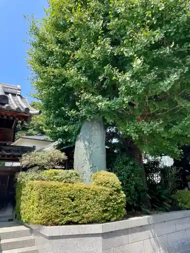 天徳院(神奈川県)