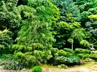 国上寺(新潟県)