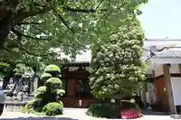 永福寺(東京都)