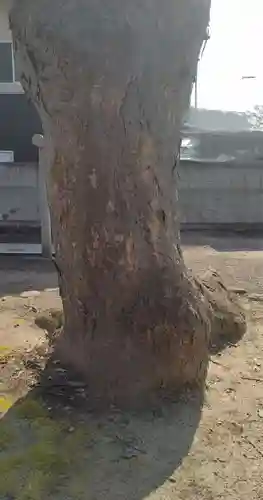 神明神社（錦町）(山形県)