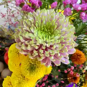 滑川神社 - 仕事と子どもの守り神の手水舎(2021年04月08日(木) 07時06分10秒投稿)