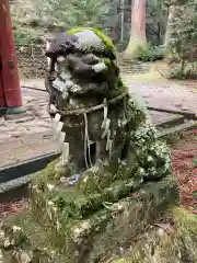 花園神社(茨城県)