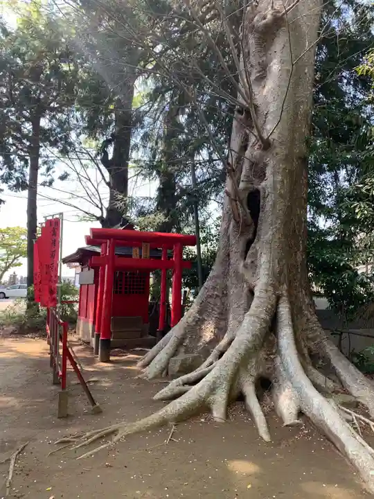 愛宕神社(茨城県)
