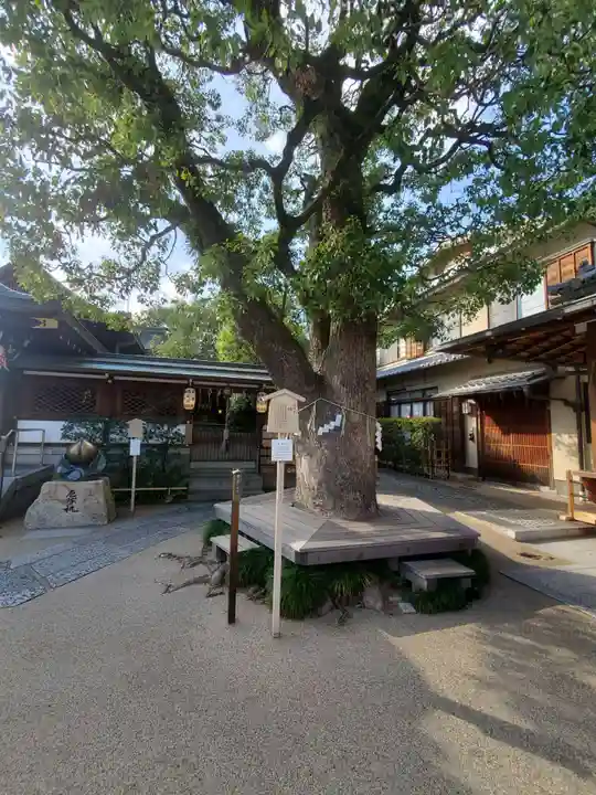 晴明神社の自然