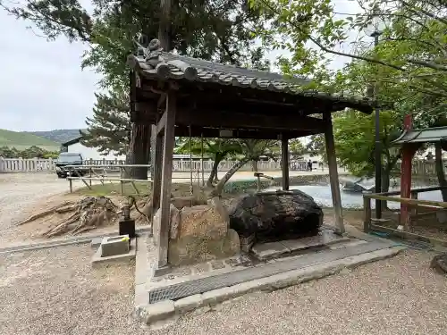 氷室神社の{uncategorized: "未分類", other: "その他", undefined: "問題あり", building: "その他建物", grave: "お墓", sacred_gate: "鳥居", guardian: "狛犬", statue: "像", buddha: "仏像", history: "歴史", nature: "自然", garden: "庭園", animal: "動物", pagoda: "塔", temizu: "手水舎", mountain_gate: "山門・神門", sanctuary: "本殿・本堂", subordinate: "末社・摂社", art: "芸術", scenery: "景色", jizo: "地蔵", ema: "絵馬", goshuin: "御朱印", omikuji: "おみくじ", items: "授与品その他", amulet: "お守り", goshuincho: "御朱印帳", eats: "食事", festival: "お祭り", votive_dance: "神楽", shichigosan: "七五三参", wedding: "結婚式", experience: "体験その他", initially: "初詣", around: "周辺", anti_infection: "感染症対策"}