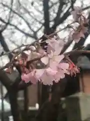 犀川神社の自然