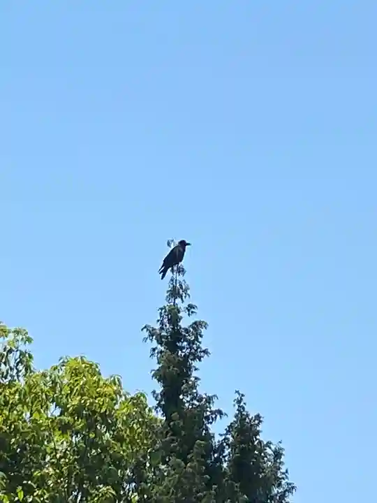 貴船神社(岡山県)