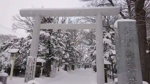 新琴似神社の鳥居