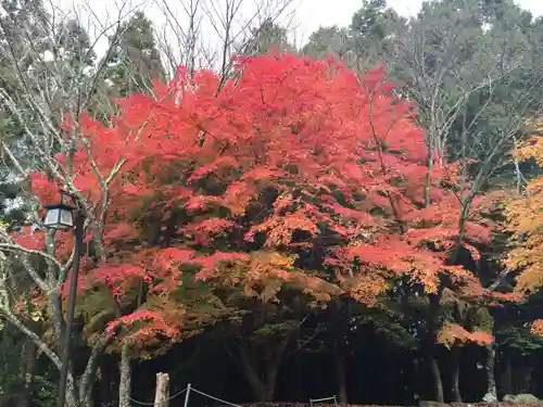 吉野水分神社（吉野町）の庭園