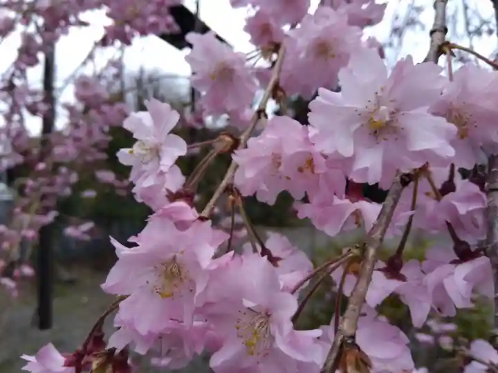 木田神社(福井県)