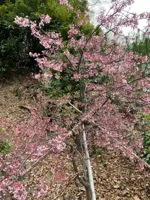 埼玉厄除け開運大師・龍泉寺（切り絵御朱印発祥の寺）(埼玉県)