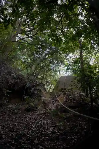 熊野神社の建物その他