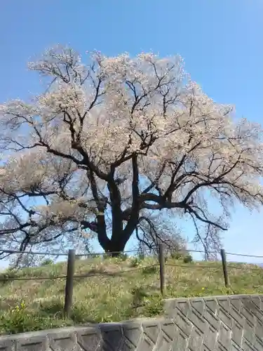 武田廣神社(山梨県)