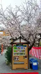 平野神社の建物その他