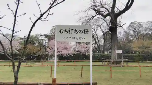 賀茂別雷神社（上賀茂神社）の庭園