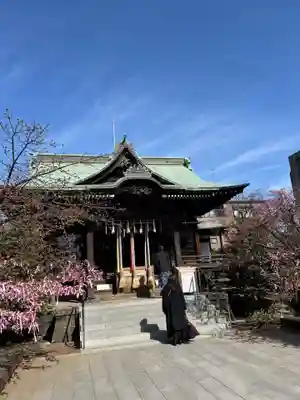桜神宮(東京都)