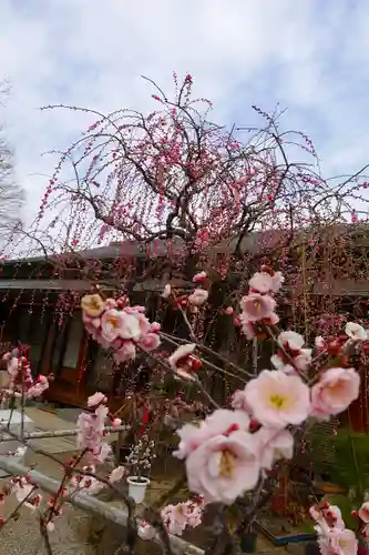 菅原天満宮（菅原神社）の自然