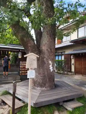 晴明神社(京都府)
