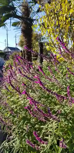 稲荷神社の自然