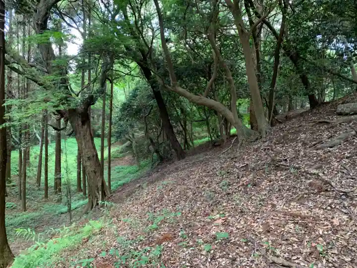 箱根神社(千葉県)