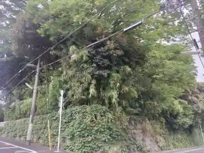 玉川神社の自然