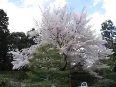 御寺 泉涌寺の庭園