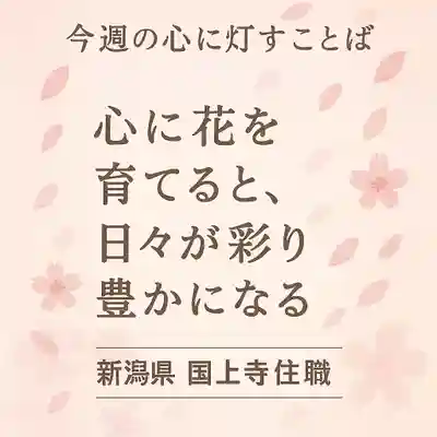 国上寺(新潟県)