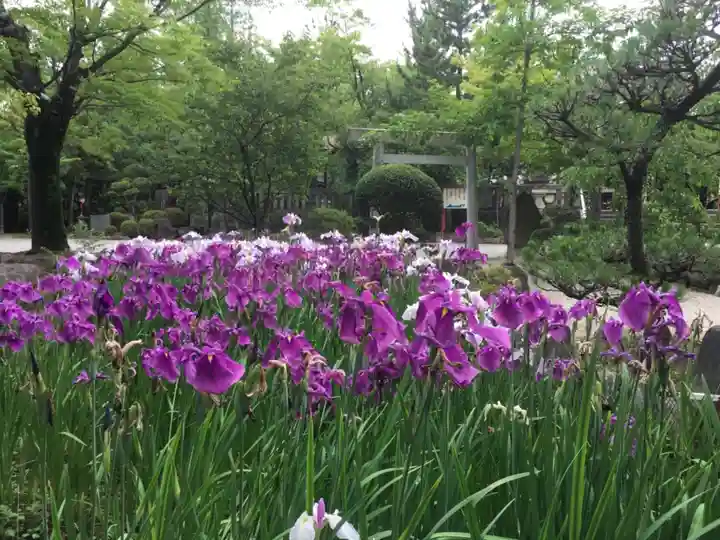 市原稲荷神社の庭園
