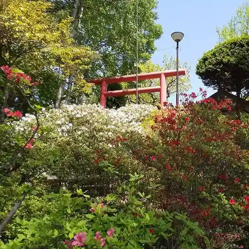 本輪西八幡神社の鳥居