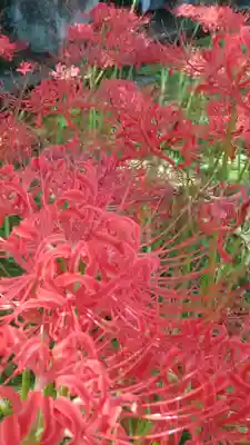 横浜　西方寺(神奈川県)