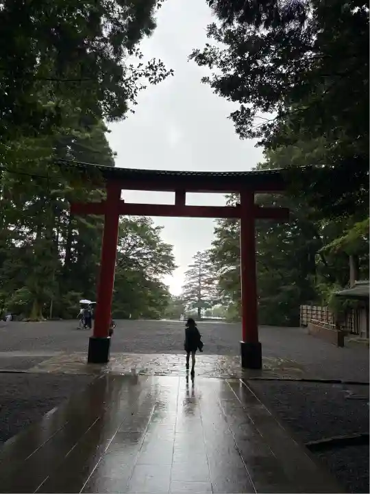 霧島神宮(鹿児島県)