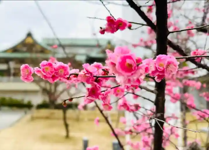 佐佳枝廼社(福井県)