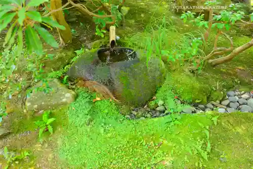 白山比咩神社(石川県)