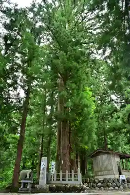 八海神社(新潟県)