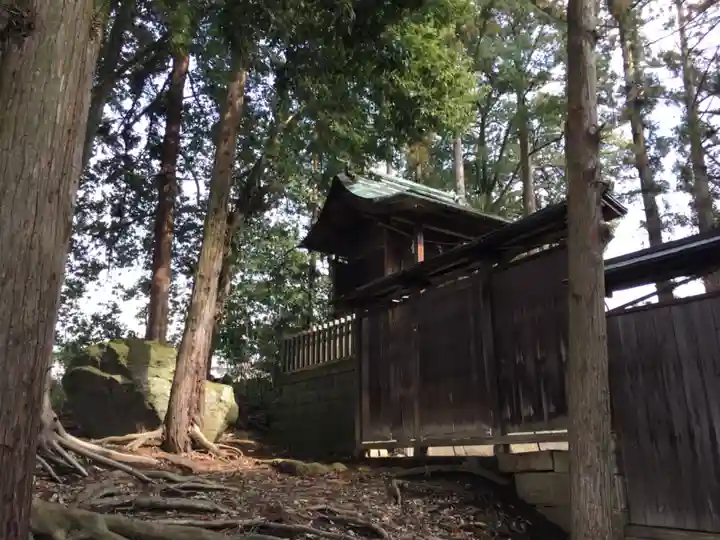 越智神社の本殿・本堂