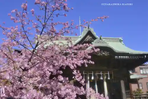 桜神宮(東京都)