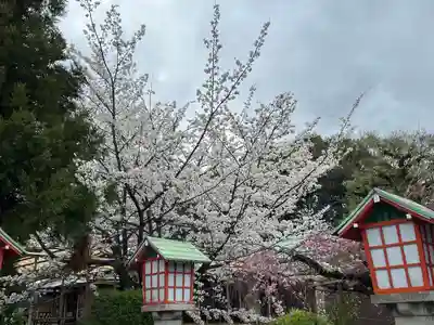 霊山観音(京都府)