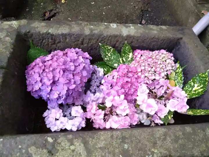 河内阿蘇神社(熊本県)
